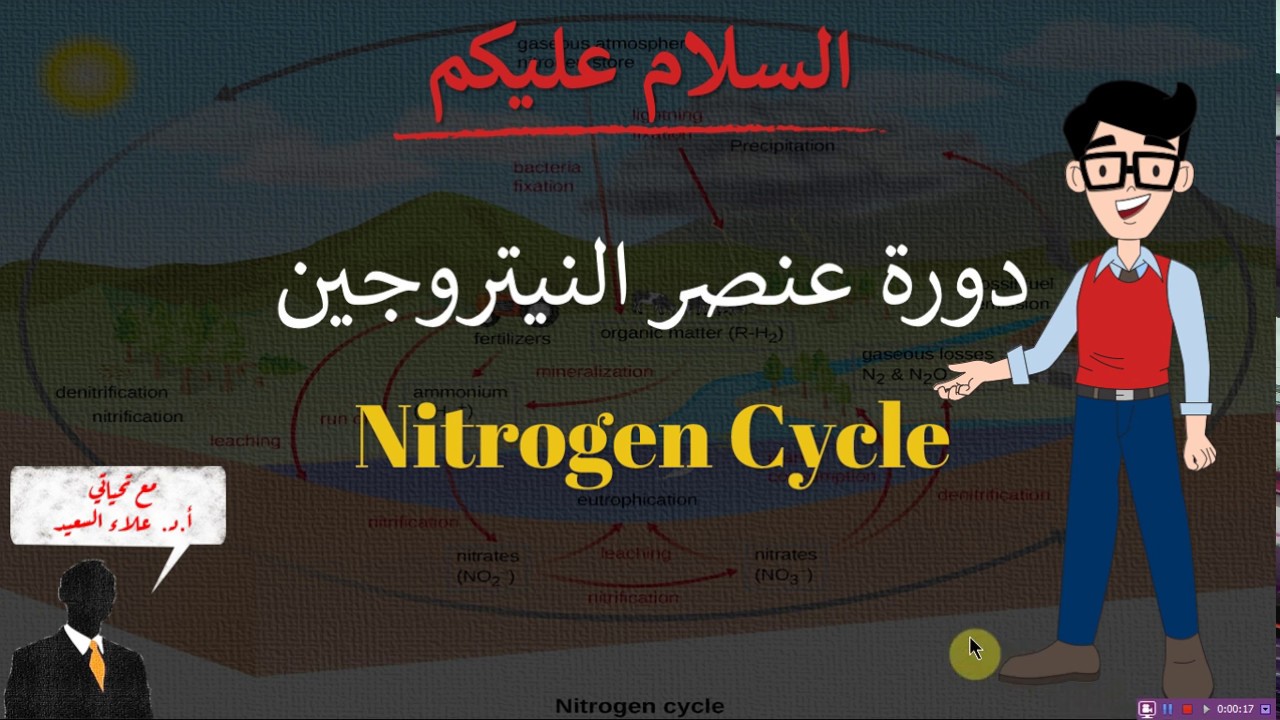 Nitrogen cycle (دورة النيتروجين في الطبيعة)