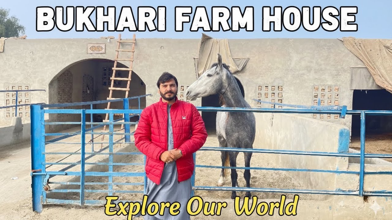 Bukhari Farm House Ka Mukammal Tour 🐎