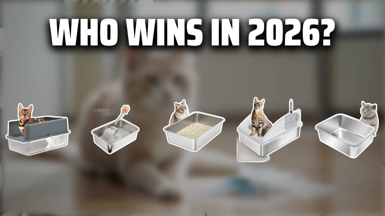 The Top 5 Best Stainless Steel Litter Box in 2026 - Must Watch Before Buying!
