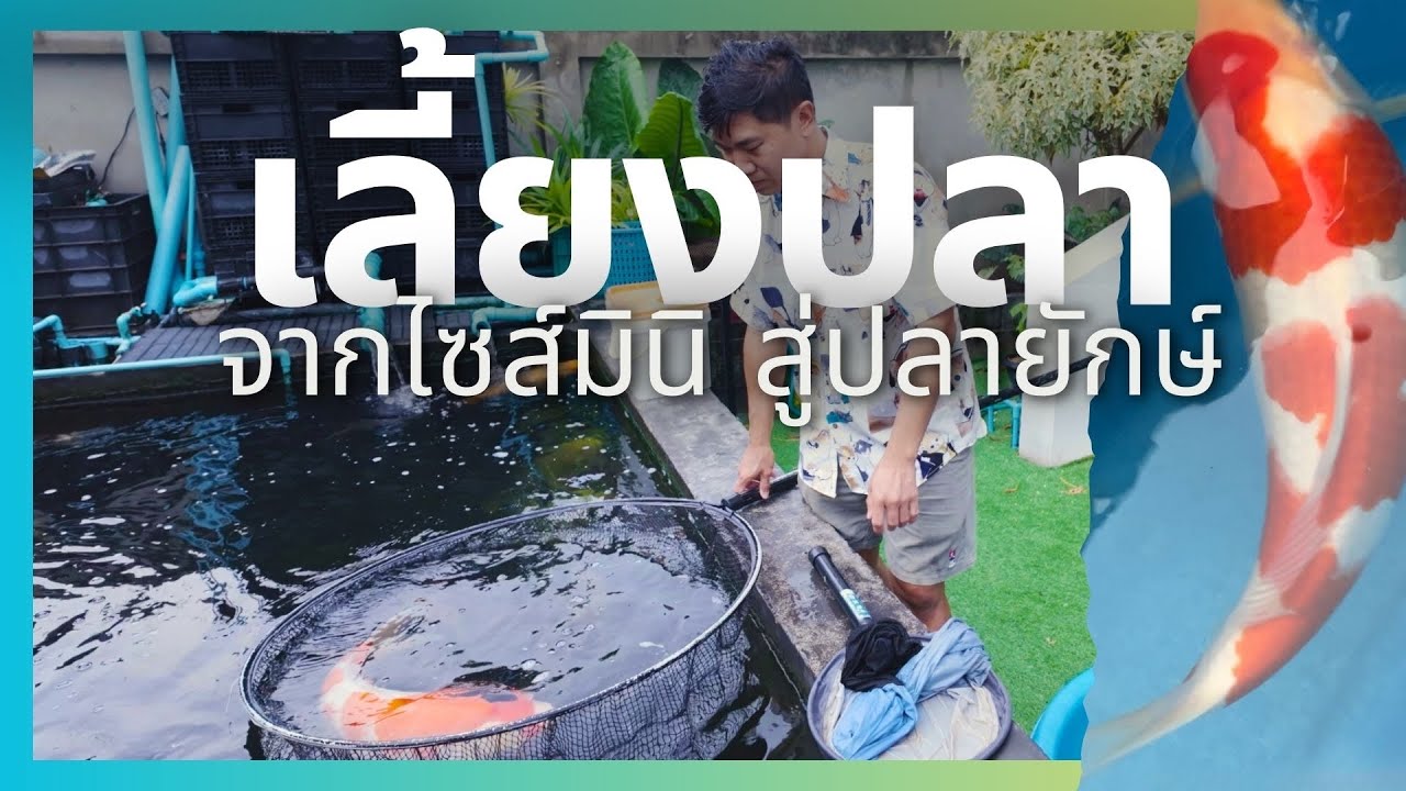 เปิดบ่อพี่เมย์ นักปั้นปลาคาร์ฟยักษ์ | ตัวโปรด EP.1