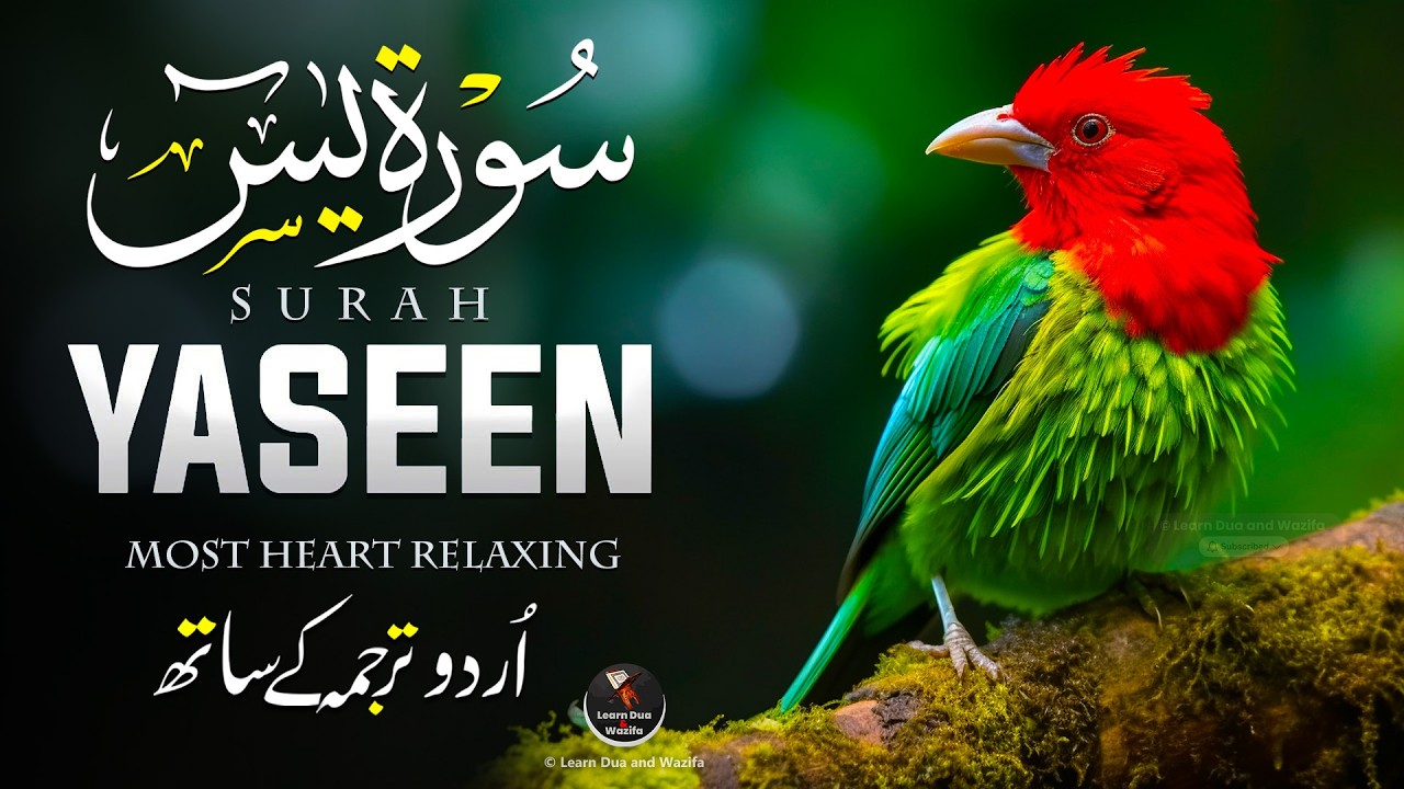 Surah Yasin (Yaseen) | Heart Soothing Recitation for Ultimate Peace & Healing | EP-233