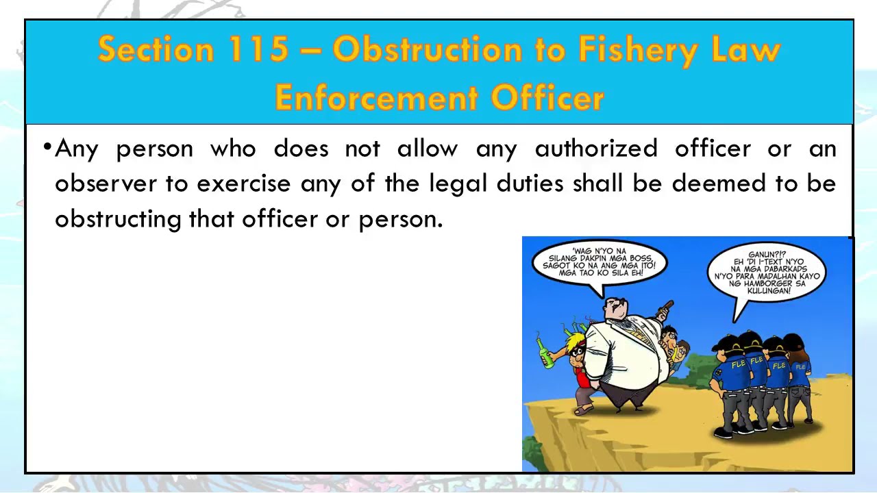 PROVISIONS OF REPUBLIC ACT NO. 8550, amended by REPUBLIC ACT NO.10654 [SECTIONS 106-137 ] - Part 4