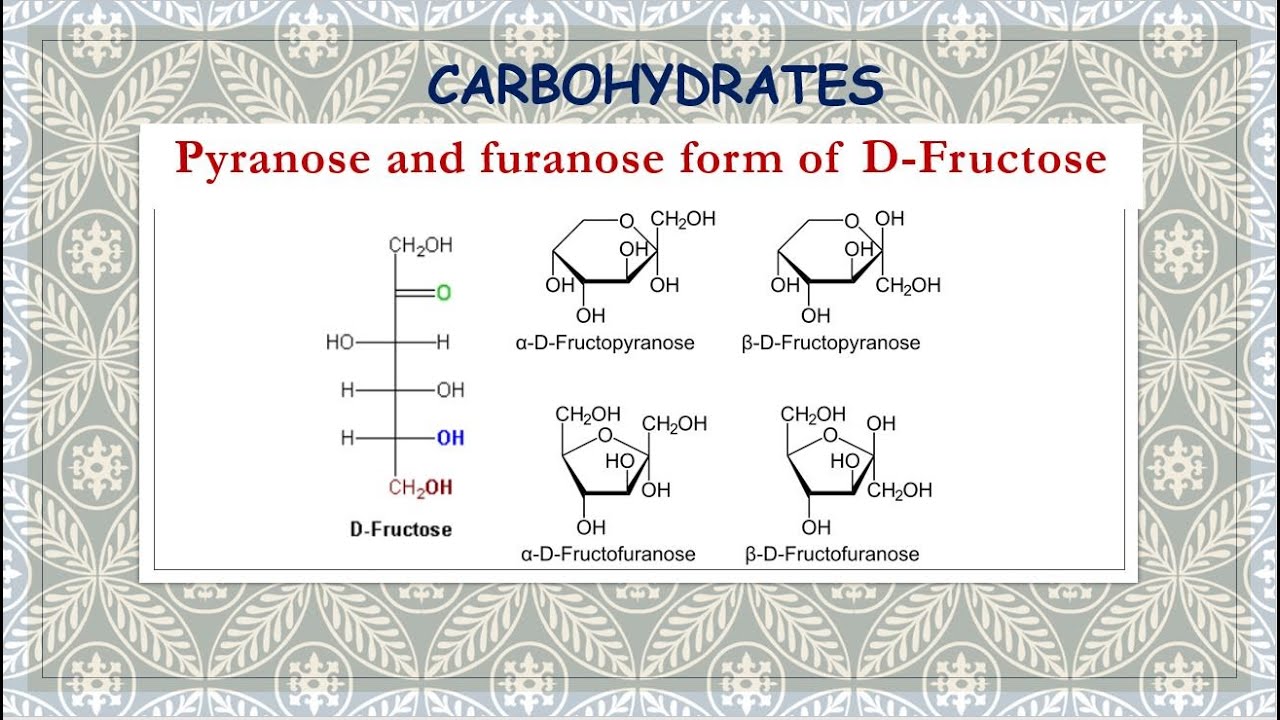 Pyranose and furanose form of D-Fructose