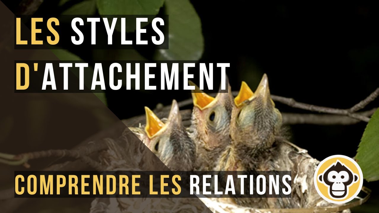 Les styles d'attachement - Comprendre les relations