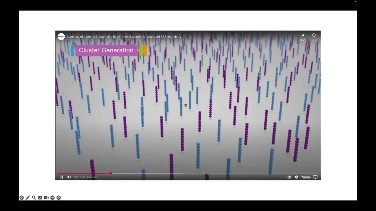 BIOL 4810 - Genome Sequencing