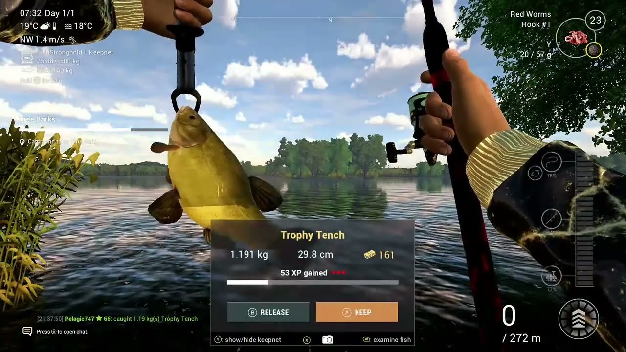 Trophy Tench  - Sander Baggersee -  Germany  - Fishing Planet - xbox