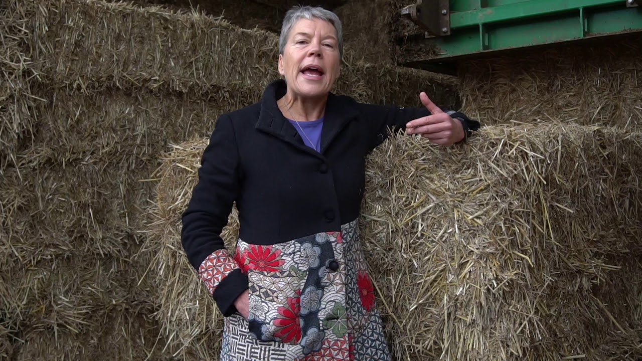 Helen Browning - Pigs in an organic system
