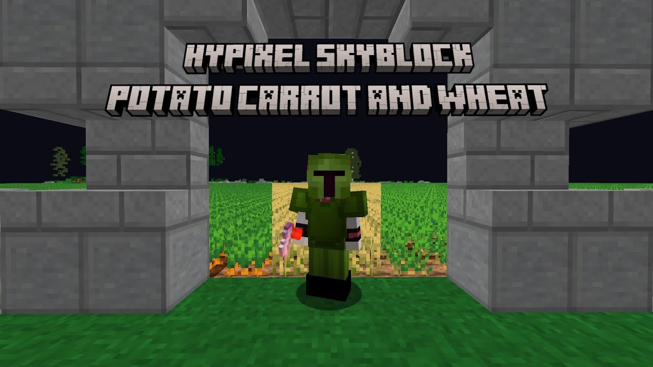 How to Build a Max Efficiency Wheat/Potato/Carrot Farm for Hypixel Skyblock