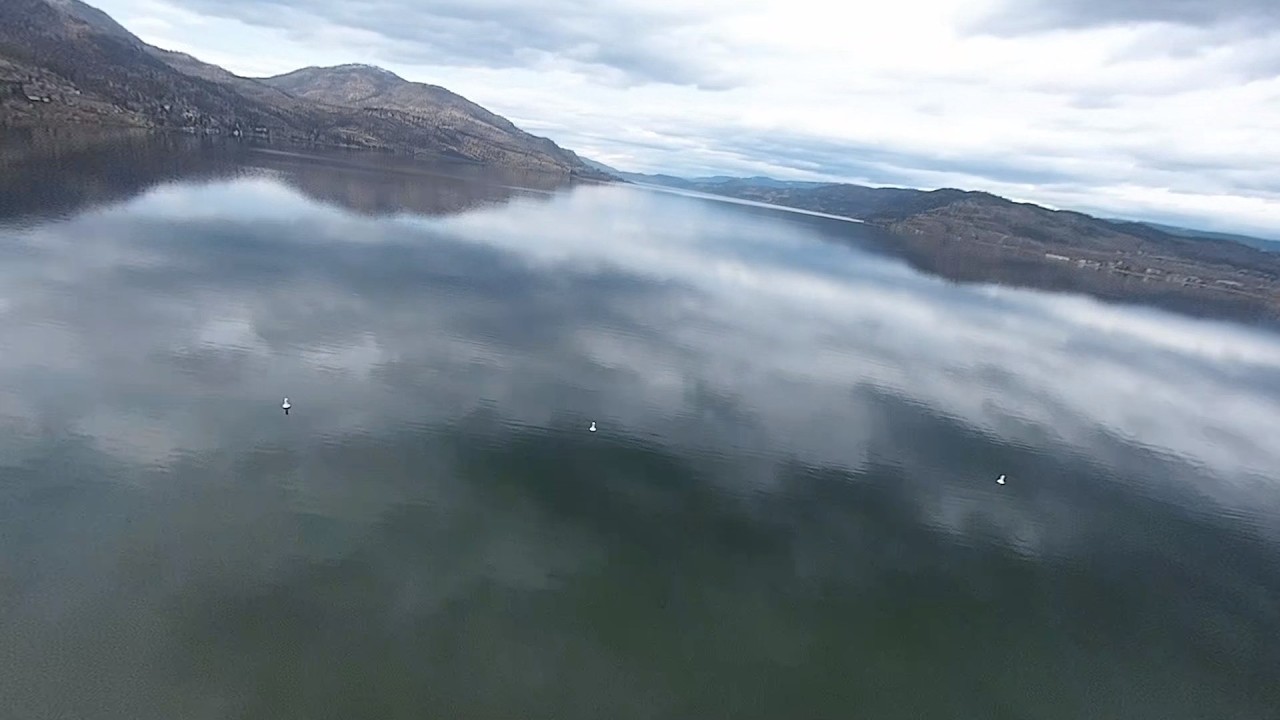 Lakeview Flights / DarwinFPV CineApe 35 / Walksnail Avatar GT