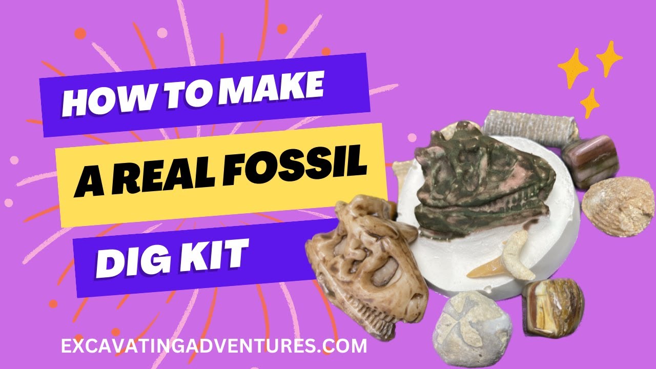 How To Make A Real Fossil Dig Kit