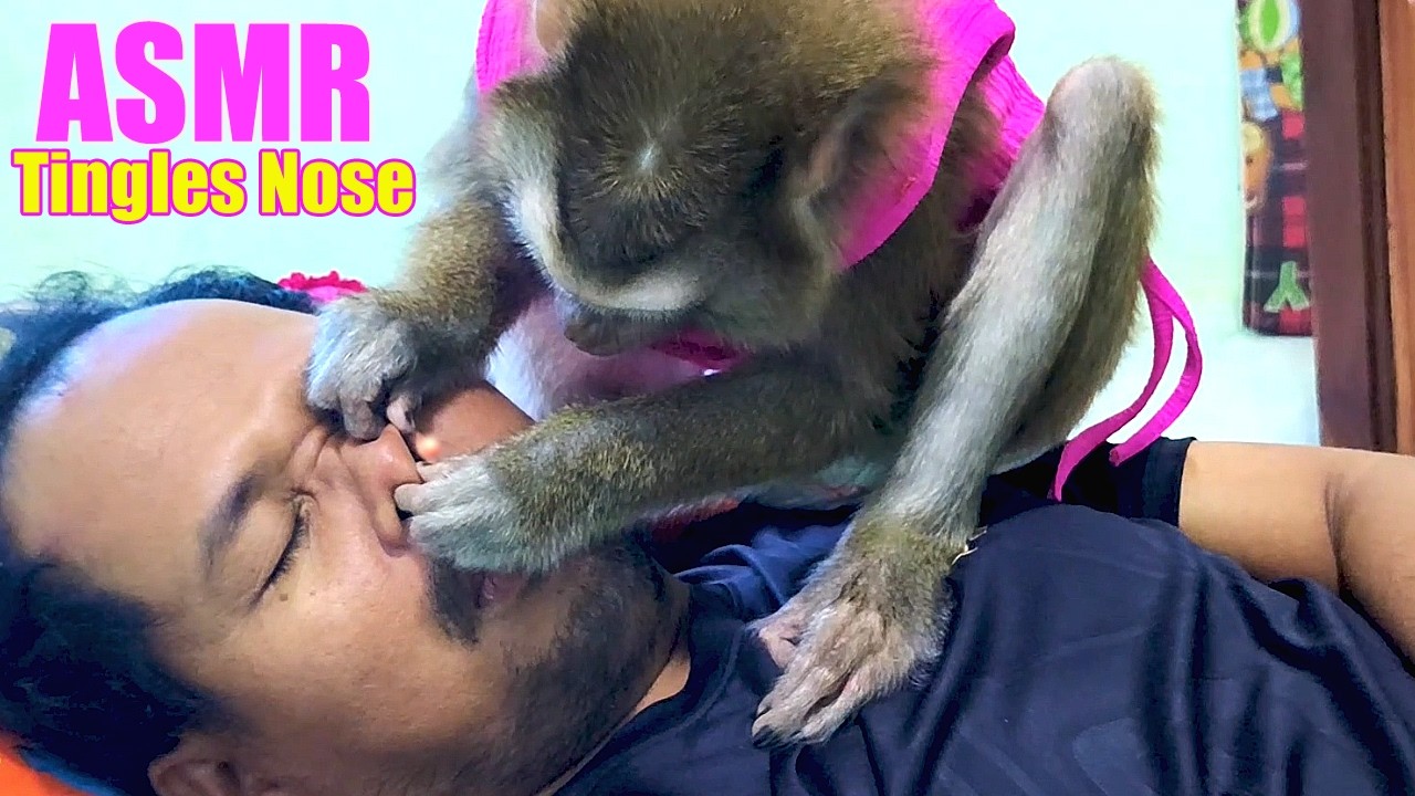ASMR Hypnotic Grooming | Dr. LYLY Grooming People Nose (Triggers for Insomnia)