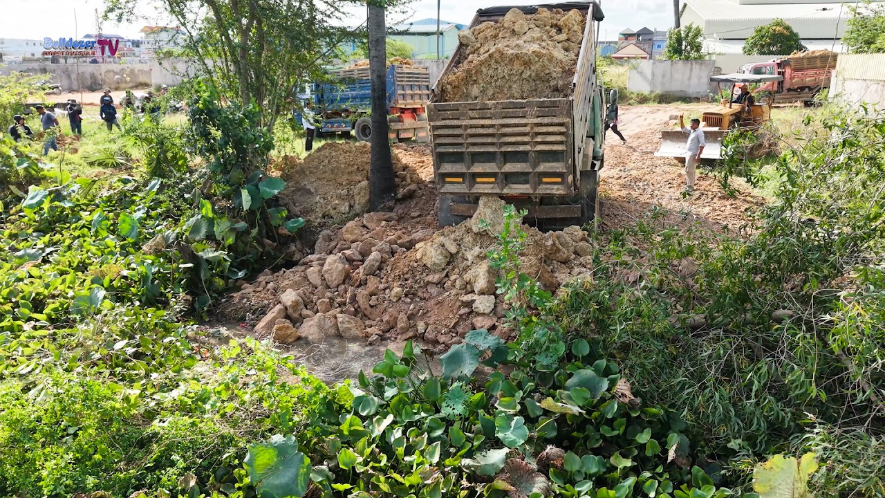 Best Operators! Using Skill Bulldozer Push Deleting Pond With Dump Trucks Performance