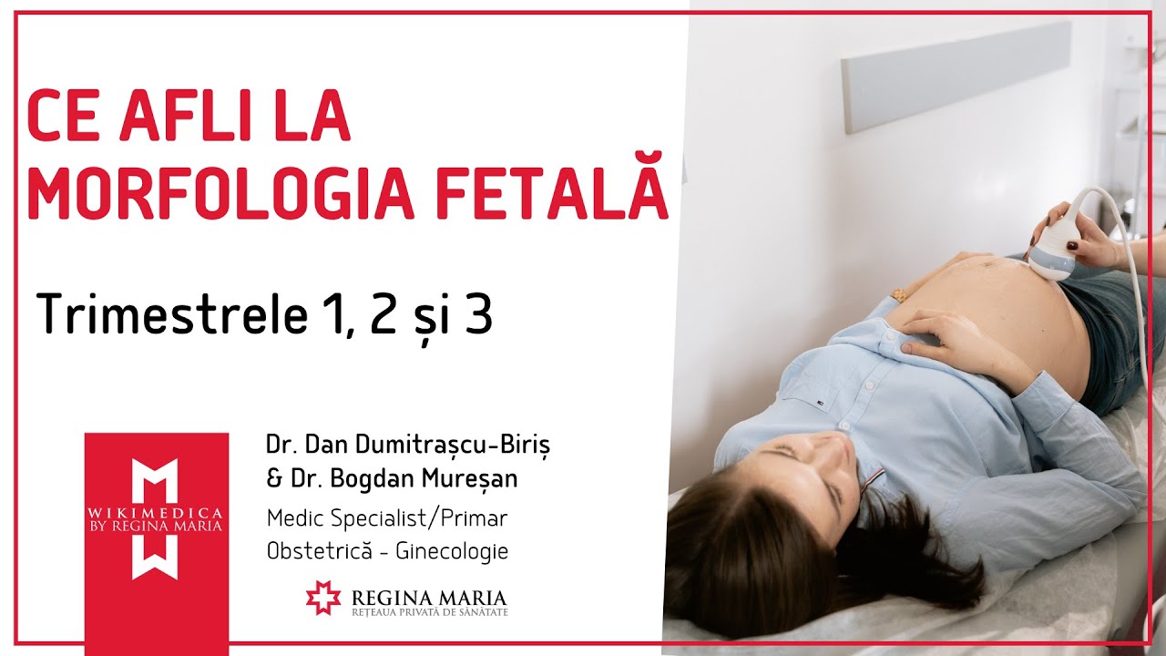 Morfologie fetala: Ce Trebuie Urmarit | Trimestrele 1, 2 si 3
