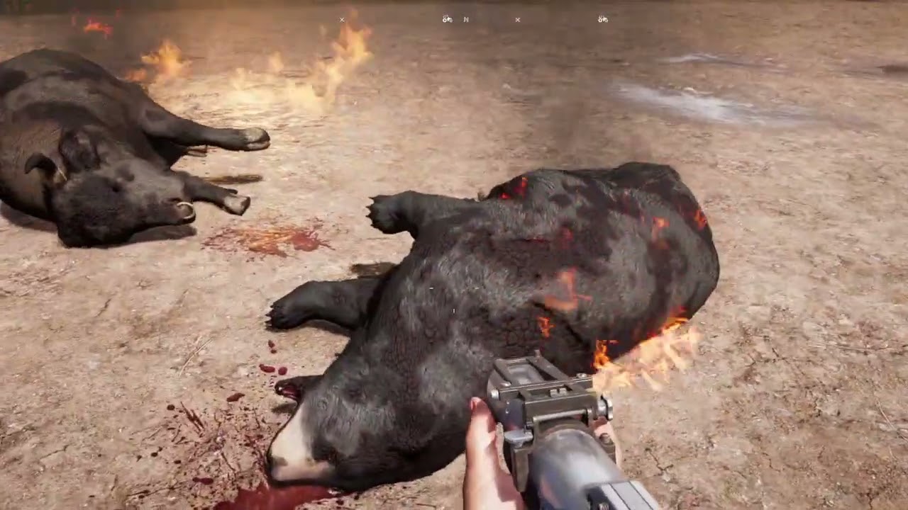 Far Cry® 5