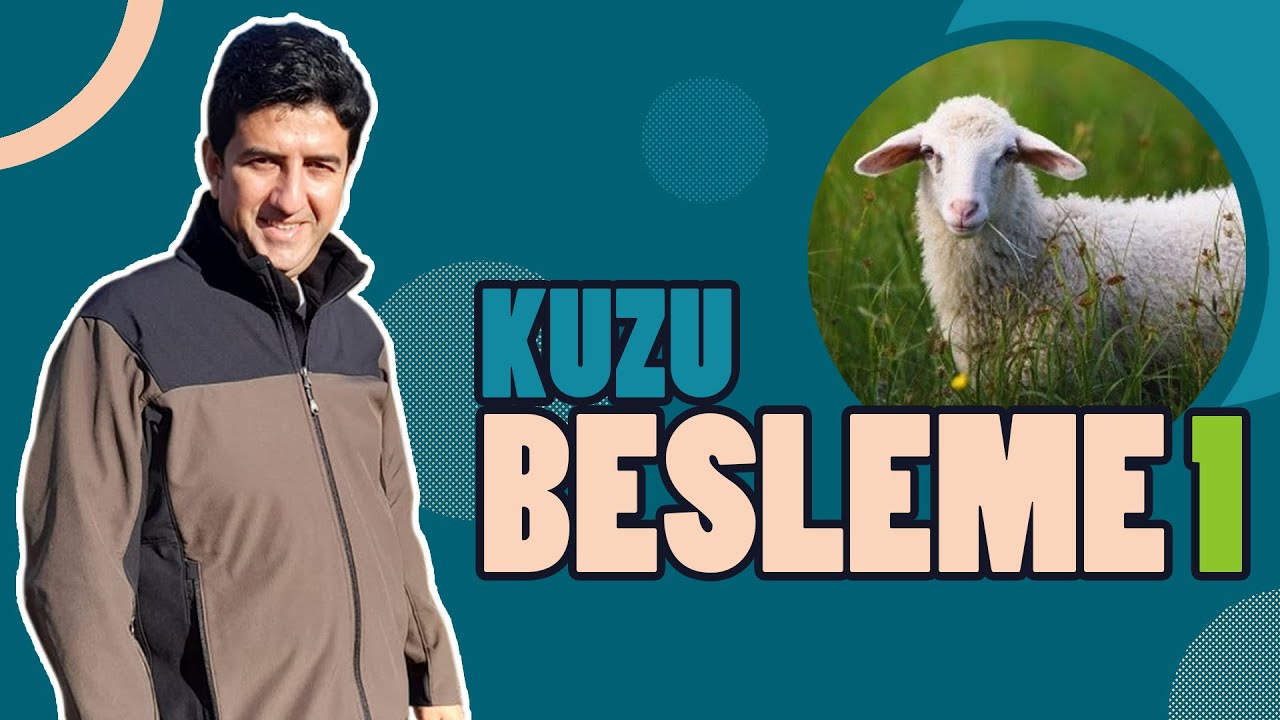 DR. KOYUNCU / KUZU BESLEME VE GELİŞİMİ  / DAMIZLIK VE KASAPLIK KUZU YETİŞTİRME  HAKKINDA HER ŞEY