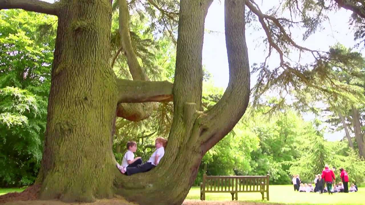 Bilton Grange School Film Prospectus