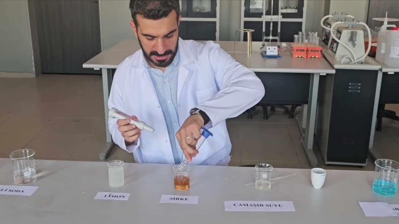 9. Sınıf Yeni Müfredat 2025 günlük hayatta sıklıkla kullandığımız maddelerin ph değerleri etkinlik