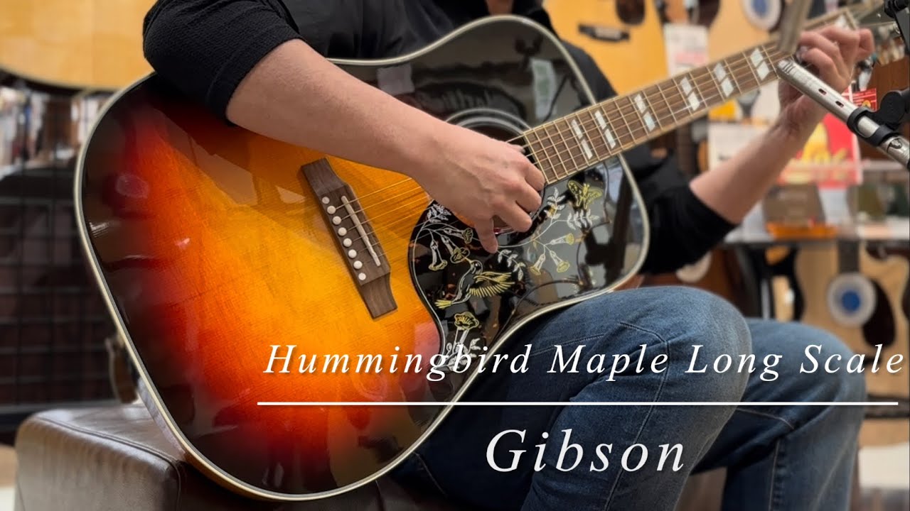 Gibson Hummingbird Maple Long Scale S/N:23045020