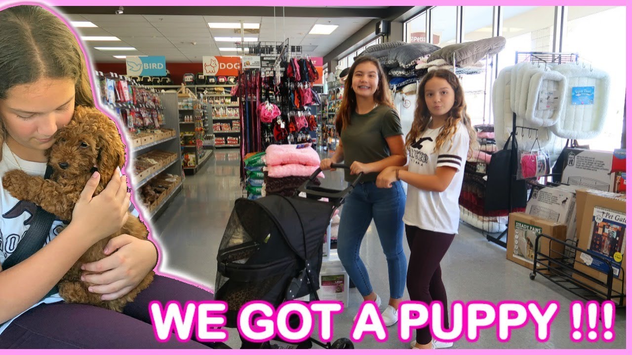 We got a Puppy !!! Bringing Home Our 12 Week Old Mini Poodle | SISTER FOREVER