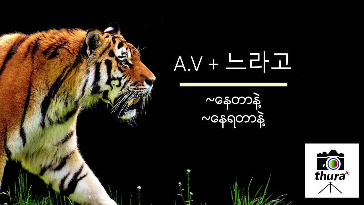 ( Day 133 )  A.V + 느라고 = ~နေတာနဲ့ , ~နေရတာနဲ့