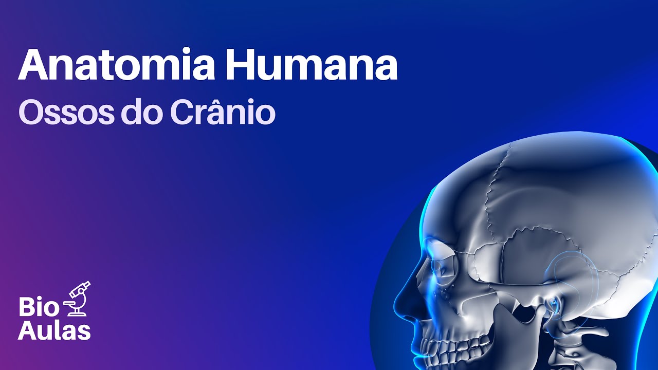 Ossos do Crânio: Neurocrânio e Viscerocrânio  - Anatomia Humana (Bio Aulas)