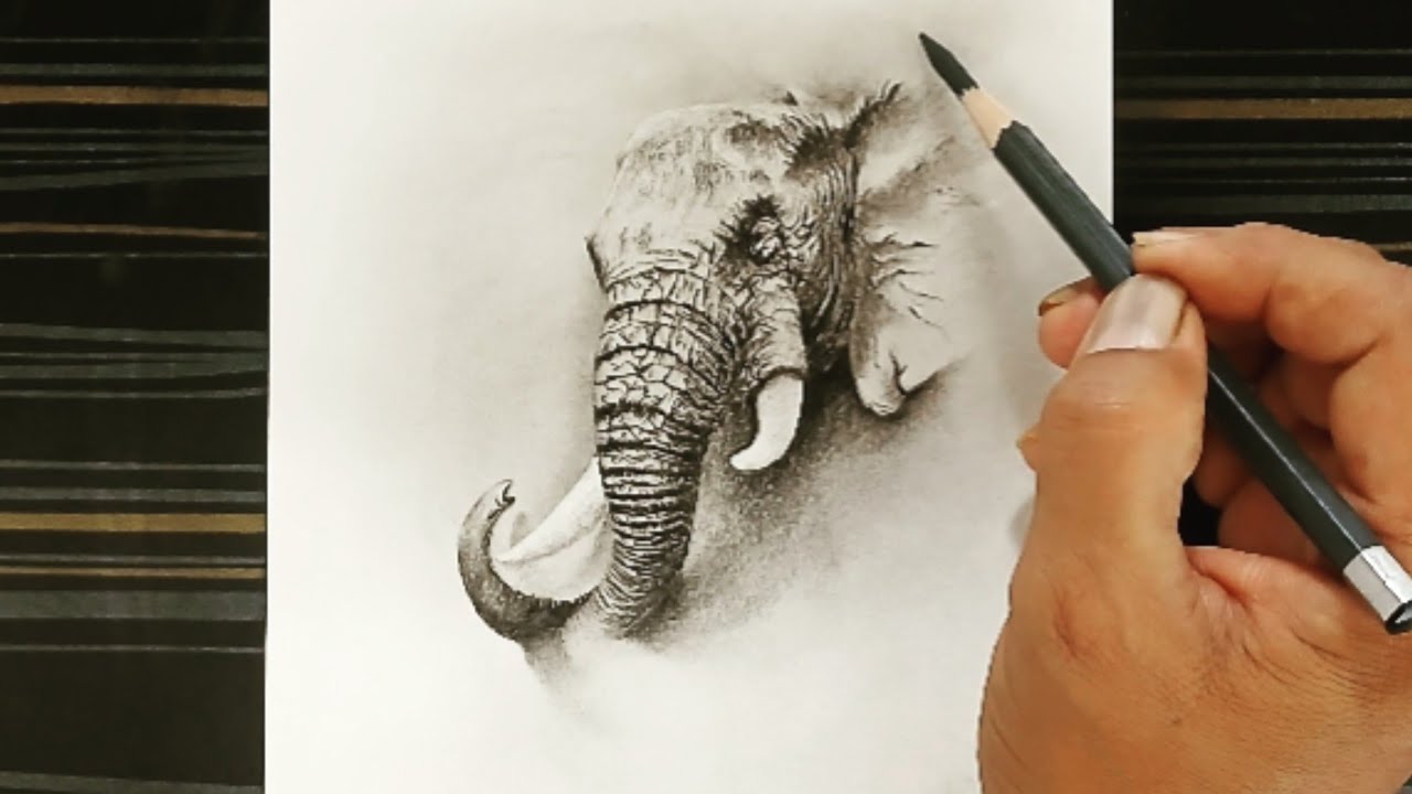 Pencil drawing of an elephant with easy steps! Realistic art/