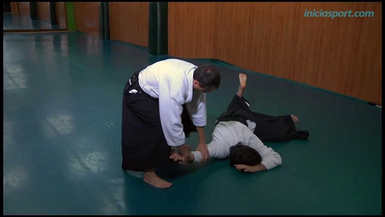 AIKIJUJUTSU 10. Técnicas de defensa 2