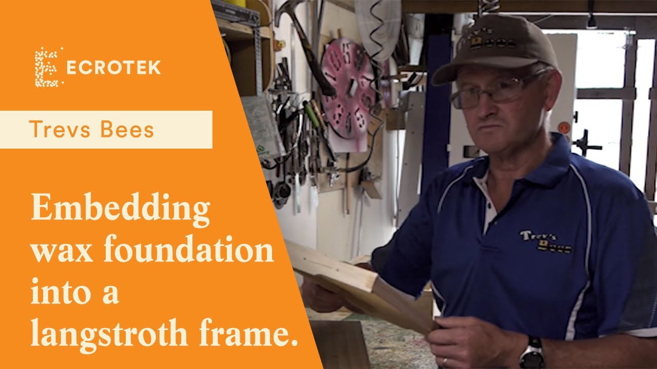 Trevs Bees - Embedding wax foundation into a langstroth frame.