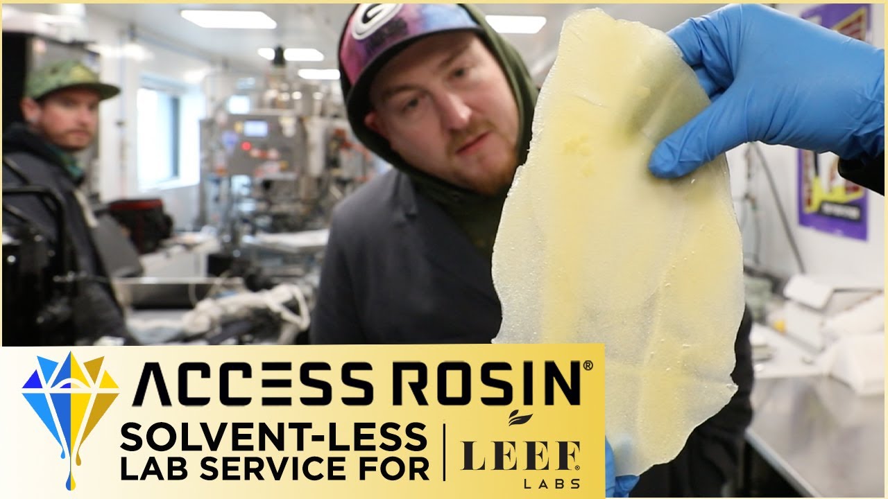 Solvent-less Lab Service with LEEF LABS | Access Rosin&reg;