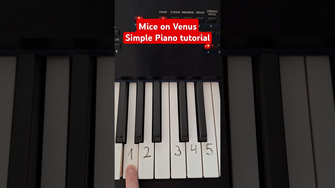 Mice on Venus Minecraft melody simple piano tutorial
