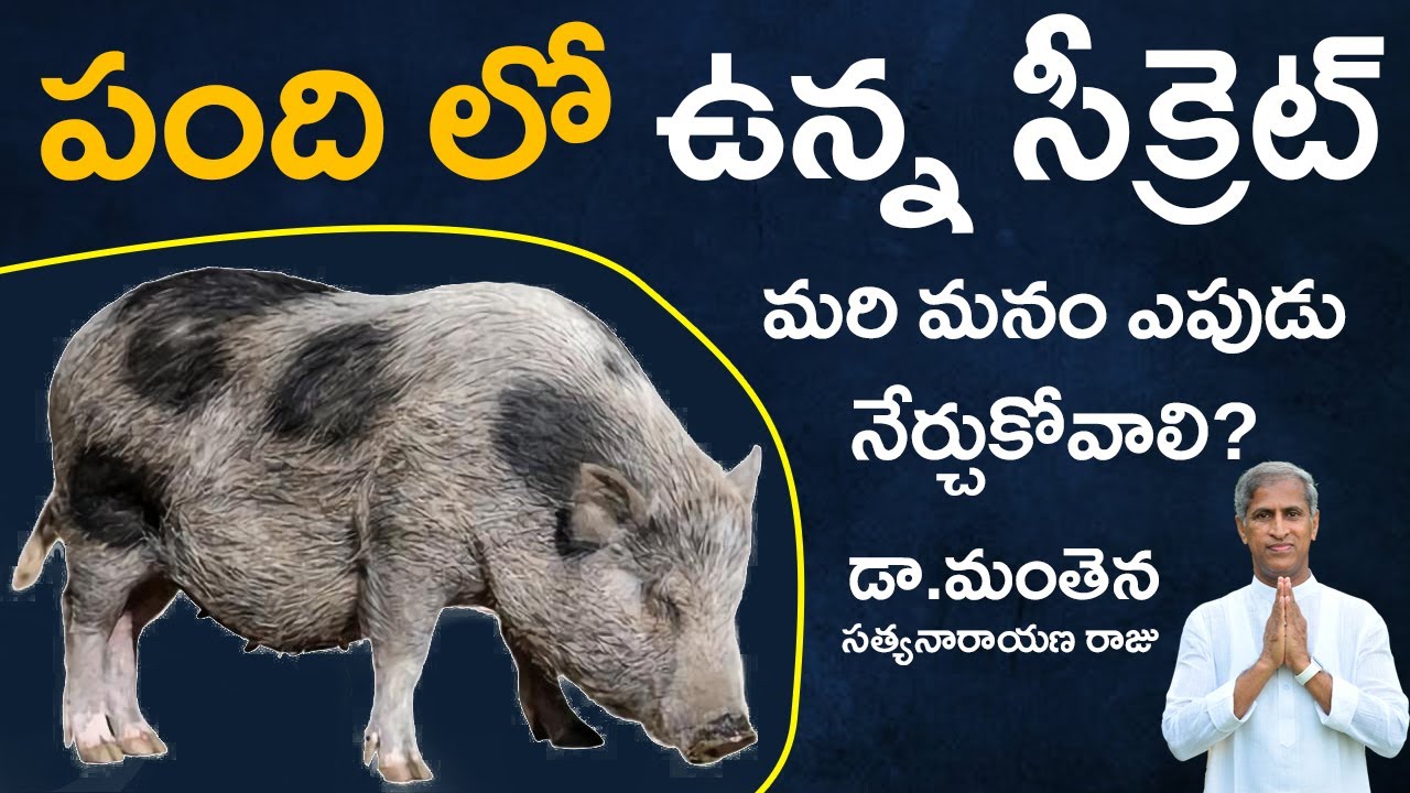 What should we learn from animals ? | Immunity | Dr Manthena Satyanarayana Raju Videos | GOOD HEALTH