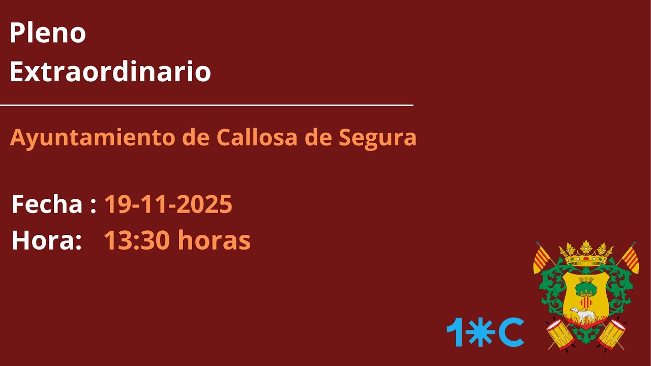 Pleno Extraordinario 19/11/2025