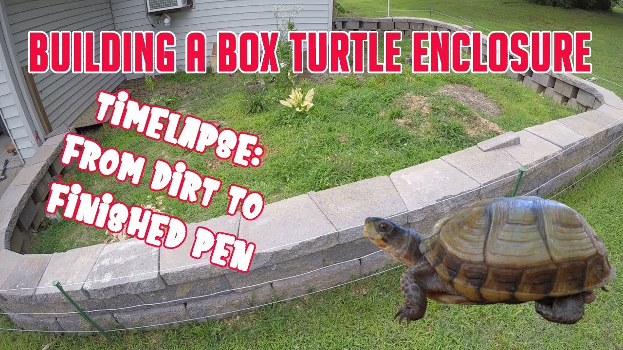 Box Turtle Enclosure - Time lapse of Pen Build - Shane Williams Outdoors