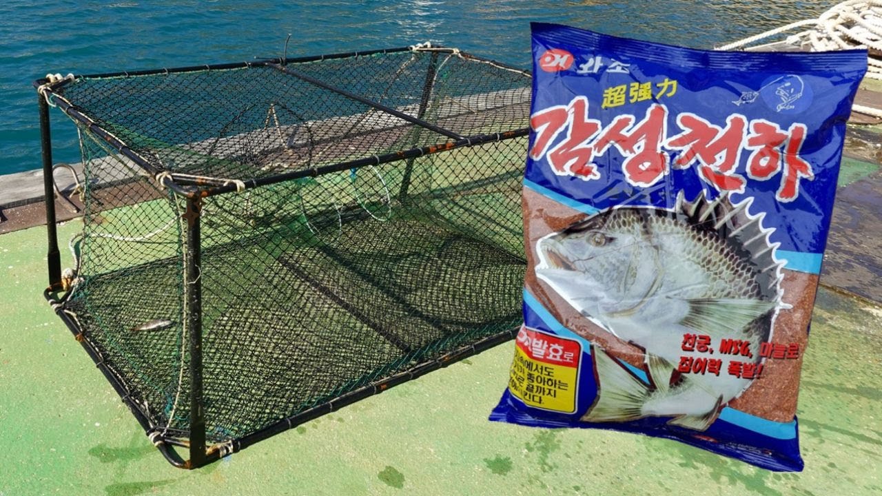 [통발] 감성돔 밑밥을 미끼로 사용하면!? 감성돔이 올까!?놀라운 결과!?