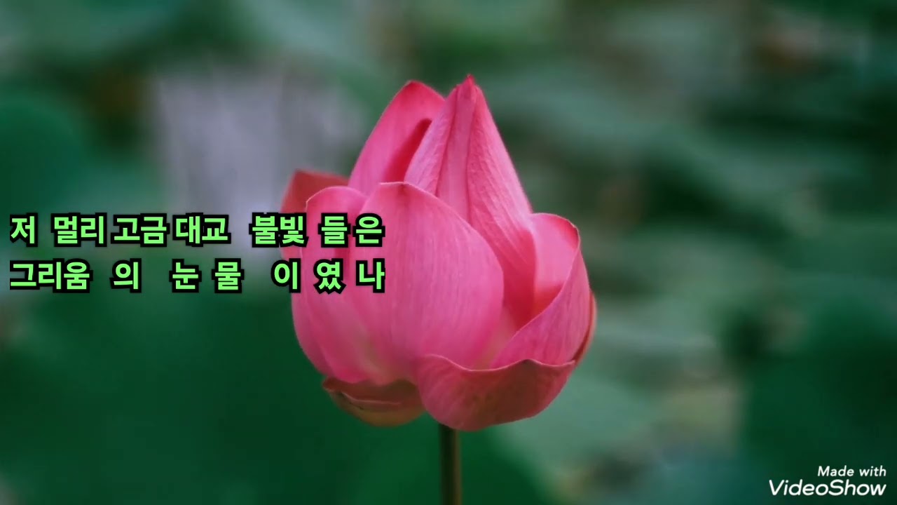 #강진애 / 가우동 출렁 다리  ㅡ