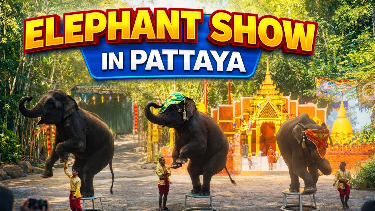 This Elephant Show in Pattaya Will Amaze You | Nong Nooch Garden