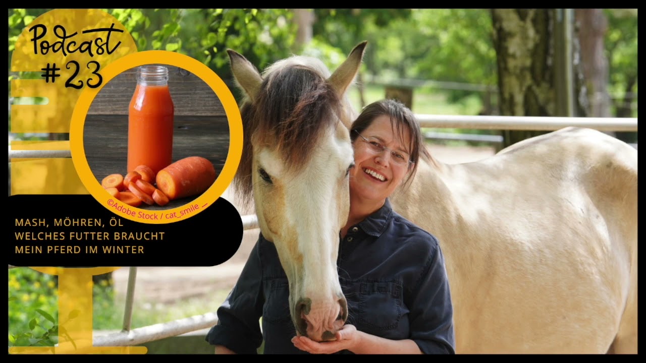 Sanoanimal Podcast #23   Mash, Öl, Möhren – welches Futter braucht mein Pferd im Winter?
