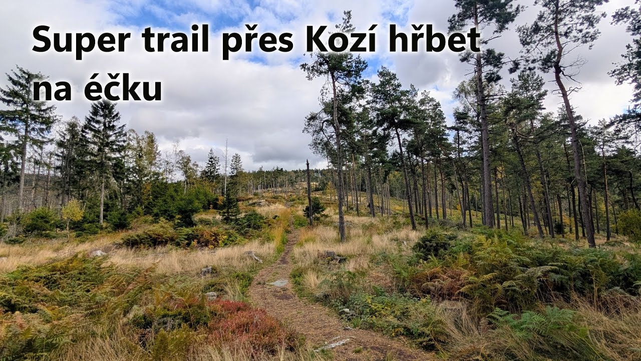 🚴 Okruh z Dolního Podluží přes Kozí hřbet na Luž a Německem zpět.