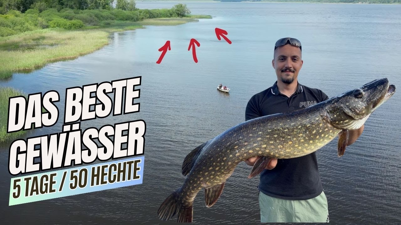 Der letzte Tag unserer Schwedentour | Am FÄNGIGSTEN GEWÄSSER in ganz Südschweden 🎣🇸🇪