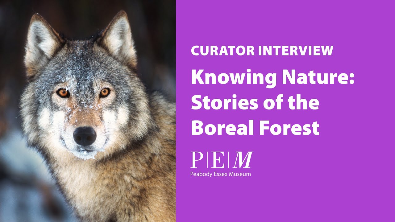 Knowing Nature: Stories of the Boreal Forest