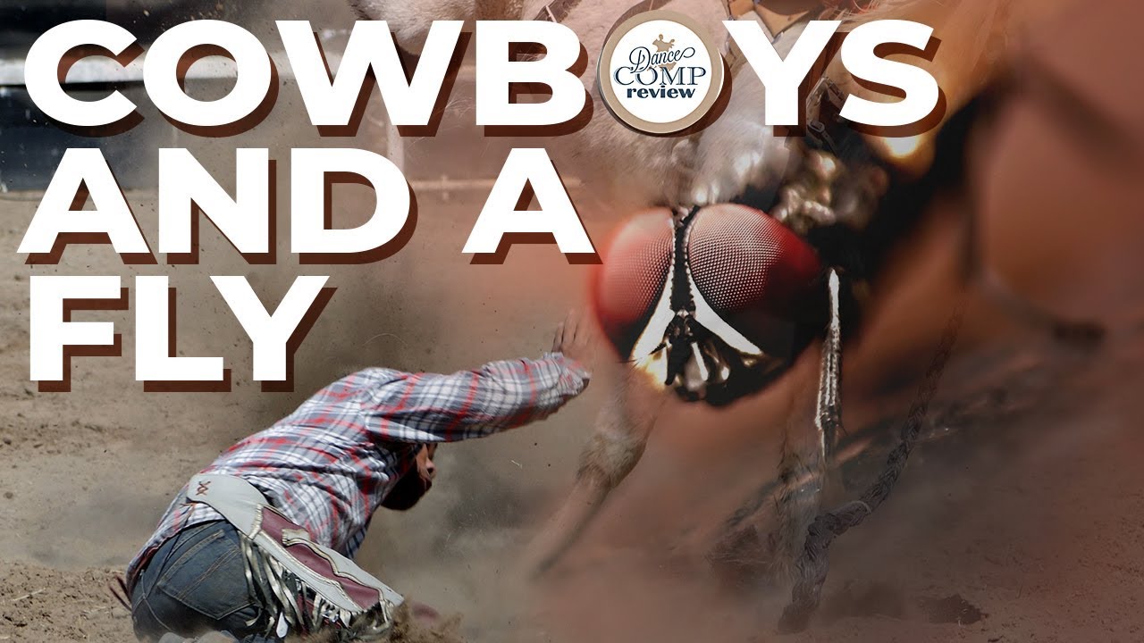 Cowboys and a Fly