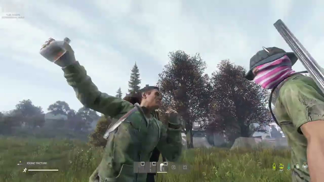 DayZ Experimental is wild