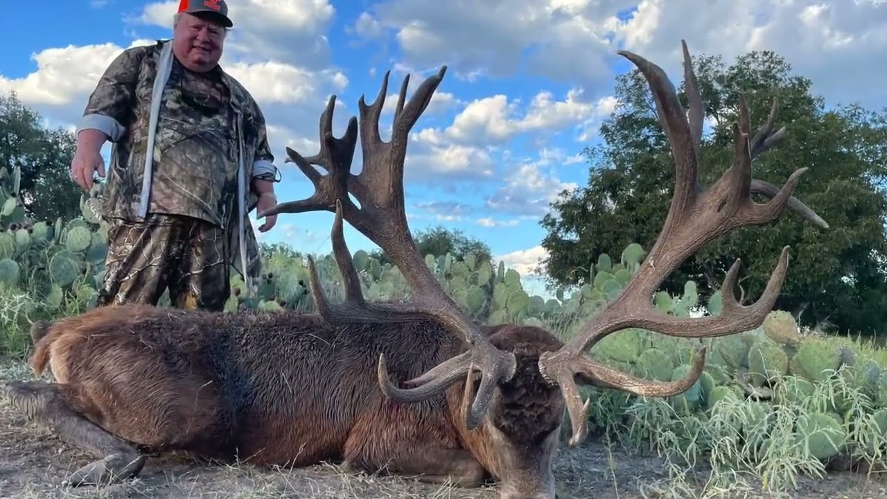 Ox Ranch 2022