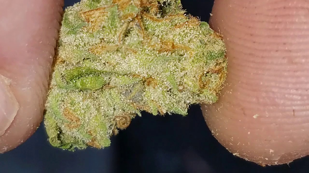 STRAIN REVIEW: CITRUS SAP