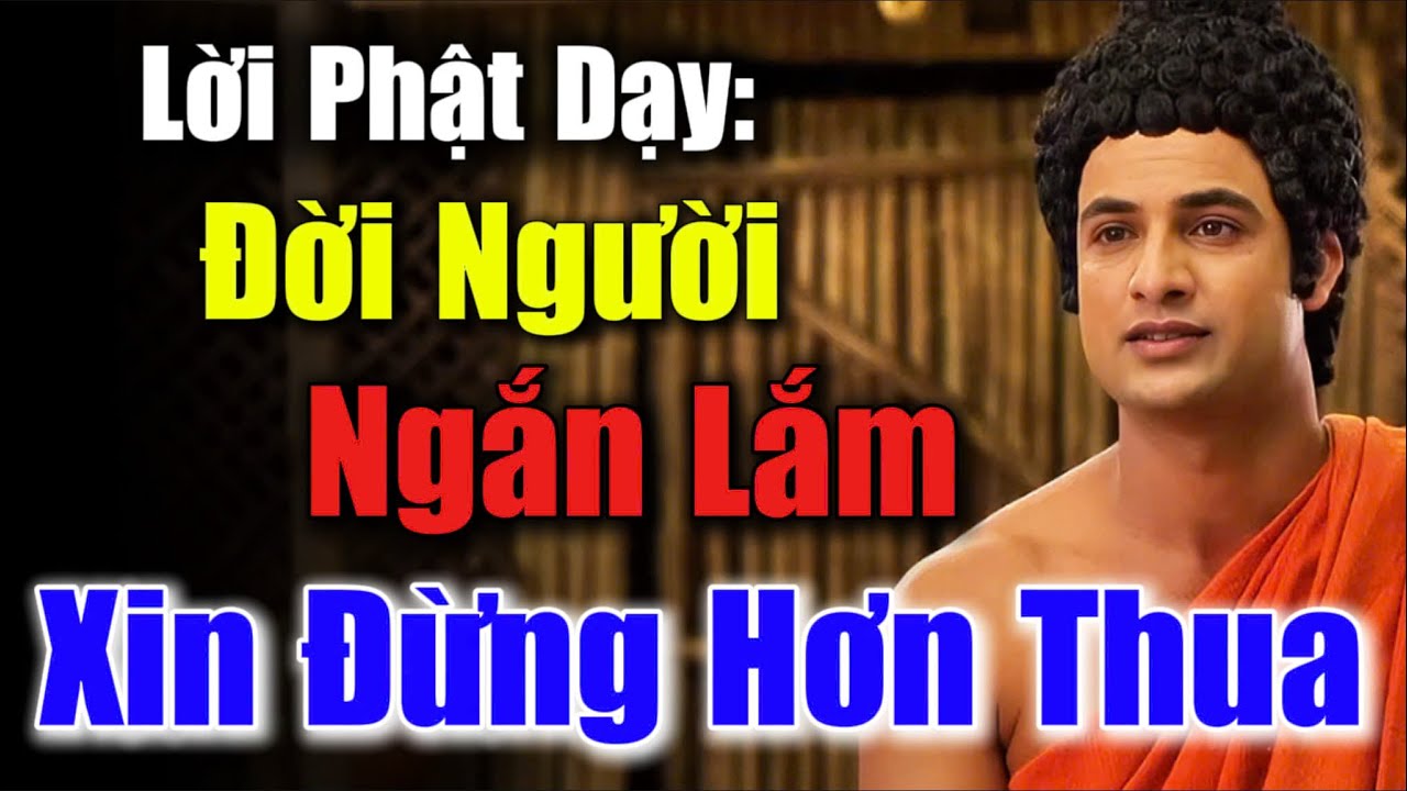 Lời Phật Dạy: Đời Người Ngắn Lắm - Xin Đừng Hơn Thua, Chỉ Cần Im Lặng – Mọi Phiền Não Tan Biến