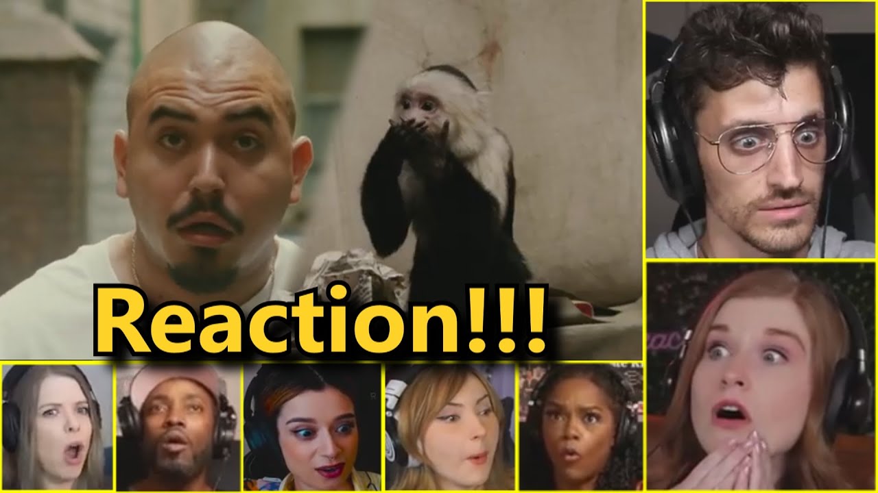 Bruce Almighty Meets God ''Monkey Scene'' - Bruce Almighty-(2003) / Reaction Compilation