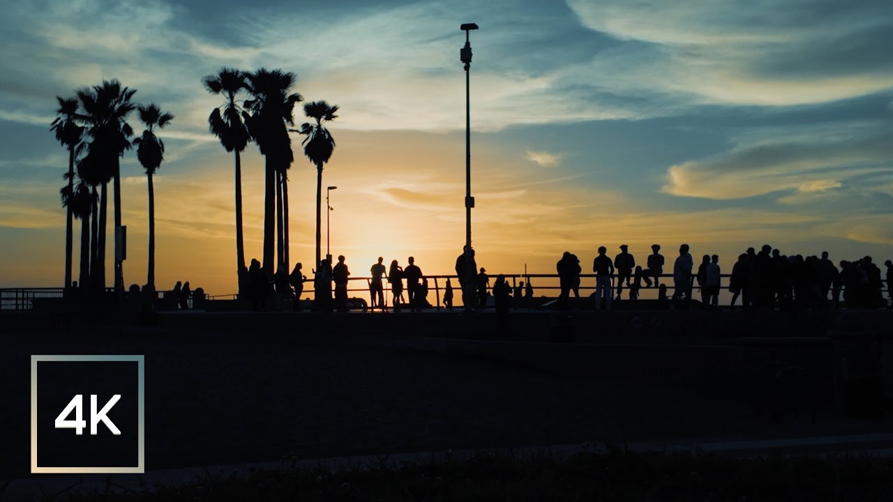 Static View: Venice Beach Skatepark — Silhouettes & Soundscape (No Commentary, 4K)