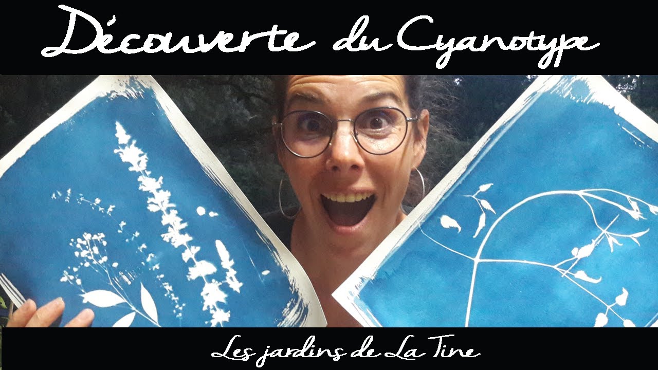 Comment faire des Cyanotypes de A à Z ? -  les Jardins de La Tine
