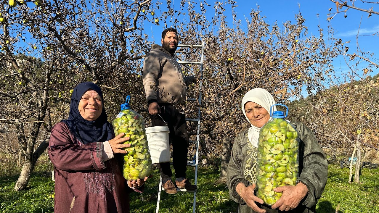 قطفنا التفاح 🍏 وعملنا خل بأسهل طريقة❤️ مع أطيب فطيرة على الجمر 🔥