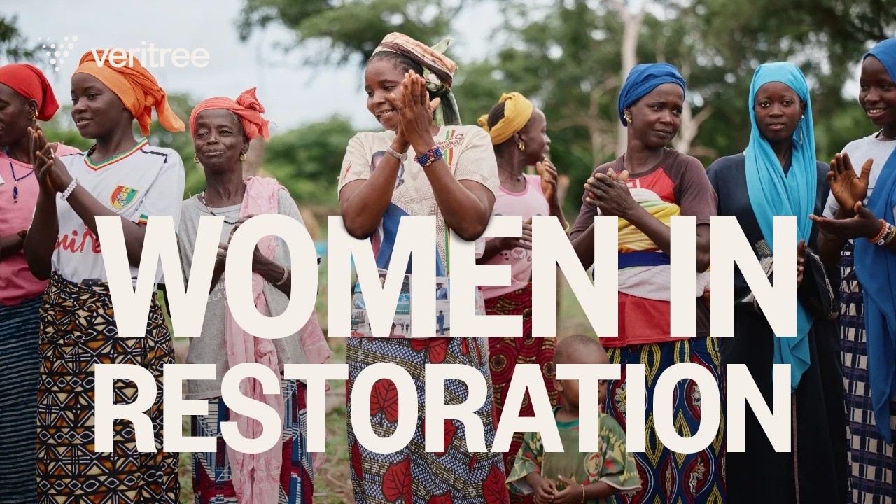 International Women's Day | veritree